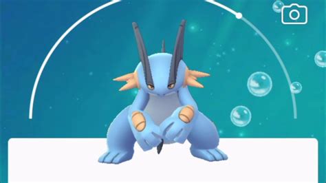 swampert|Swampert (Pokémon GO) .